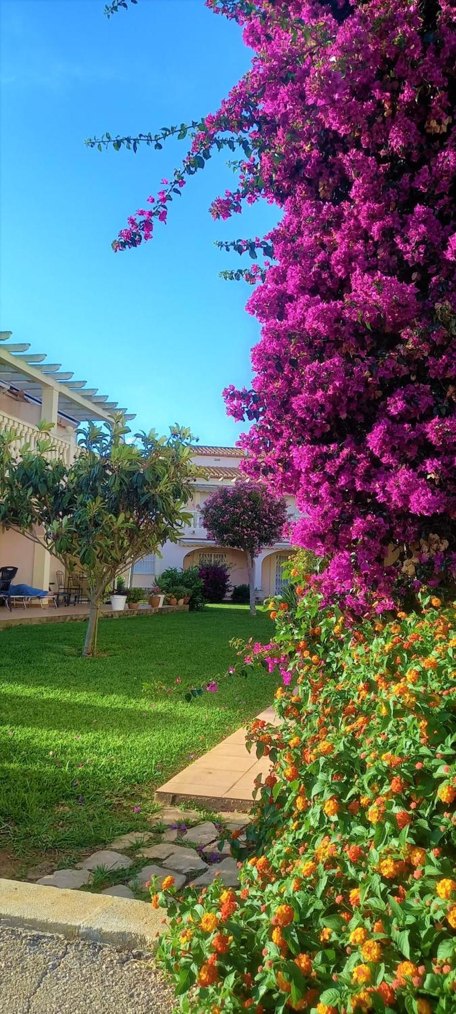 Apartamento La Giralda 2 Denia Les Marines Exterior foto